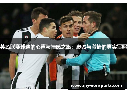 英乙联赛球迷的心声与情感之旅：忠诚与激情的真实写照