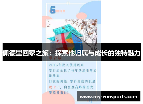 佩德里回家之旅：探索他归属与成长的独特魅力